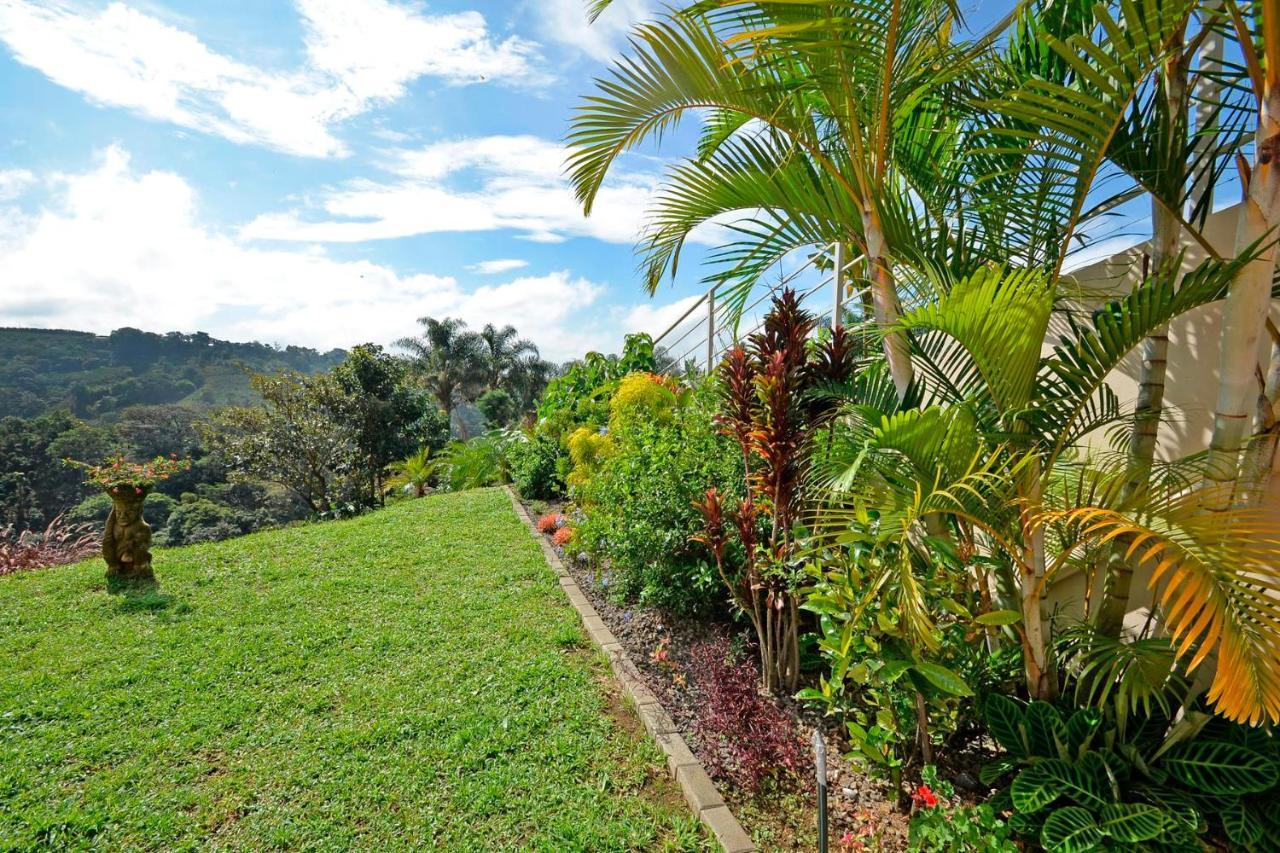 Апартаменты Supercostarica Гресия Экстерьер фото