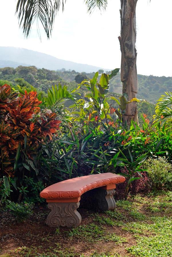 Апартаменты Supercostarica Гресия Экстерьер фото